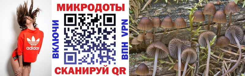 Псилоцибиновые грибы мицелий продажа наркотиков Качканар