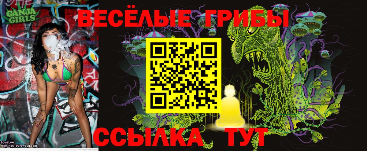 Псилоцибиновые грибы прущие грибы Качканар