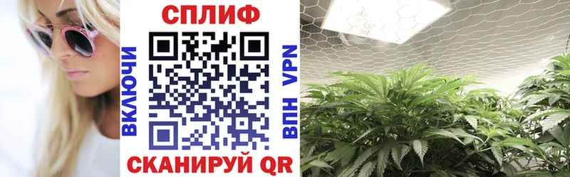 Каннабис THC 21%  Качканар 