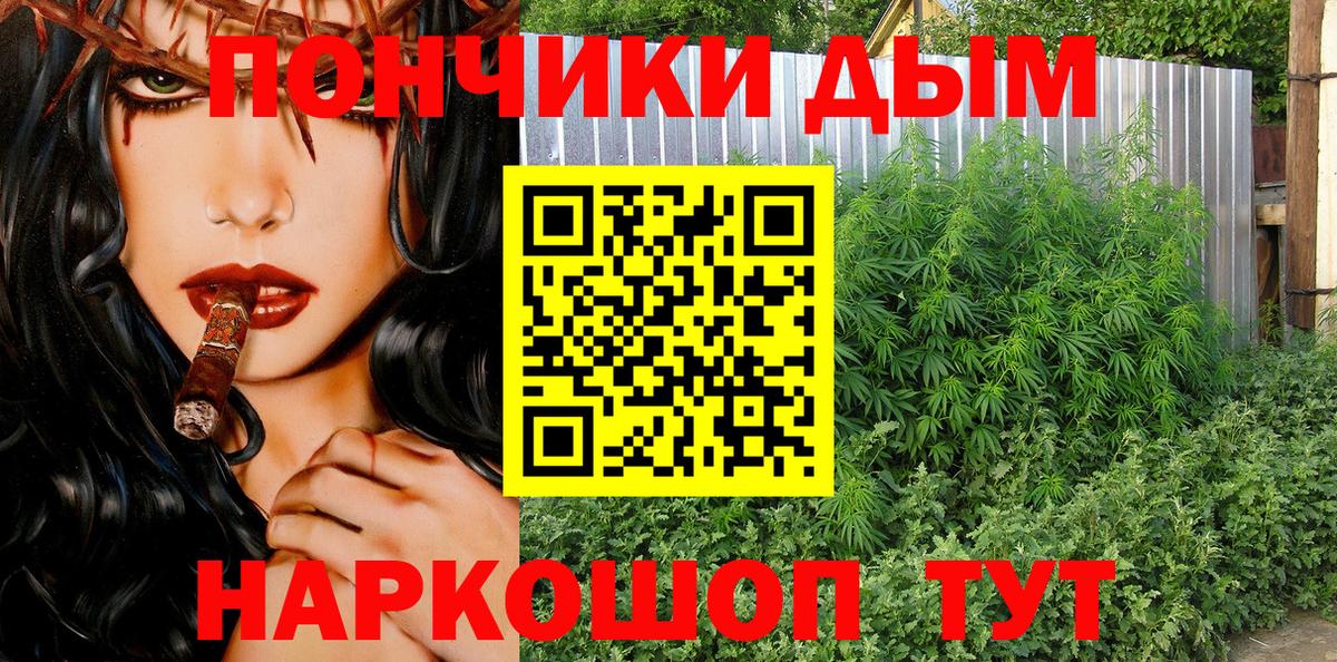 Бошки Шишки OG Kush Качканар